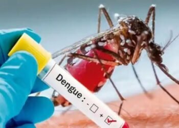 Dengue