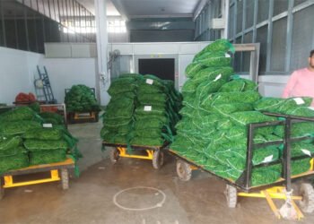 पूर्वांचल की हरी सब्जियां बदल रही हैं विदेशी किचन का स्वाद