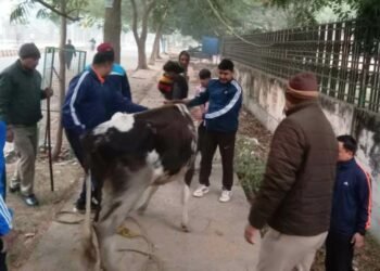 एनडीआरएफ के जवानों ने बेजुवान को बचाकर दिया मानवता का परिचय