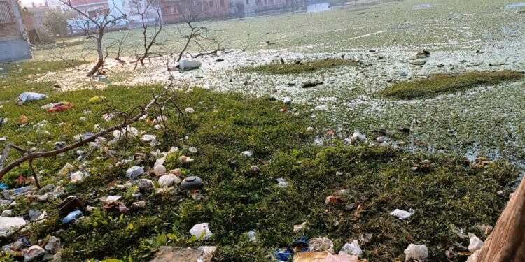 Varanasi: विकास की राहें देख रहा डाफी का यह तालाब, गंभीर बीमारियों को दे रहा न्योता