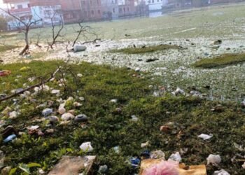 Varanasi: विकास की राहें देख रहा डाफी का यह तालाब, गंभीर बीमारियों को दे रहा न्योता