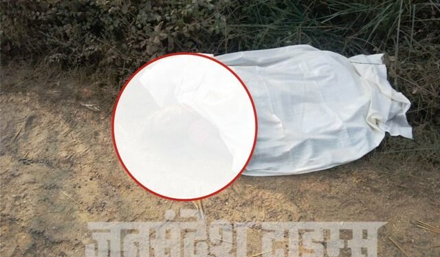 झाड़ी में मिला महिला का शव, हत्या की आशंका