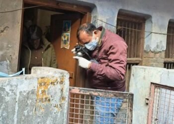 बंद कमरे में अधेड़ दंपति की मौत, ठंड की आशंका