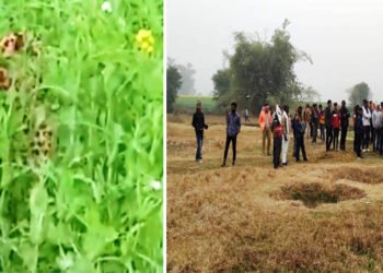 मिर्जापुर: गाँव में आया तेंदुआ, हमले में रेंजर समेत 2 घायल