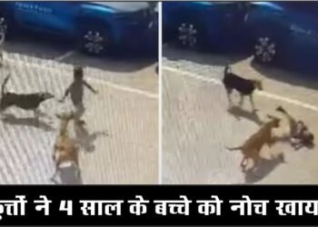 हैदराबाद में दिल दहला देने वाली घटना, 4 वर्ष के बच्चे को कुत्तों ने नोच खाया