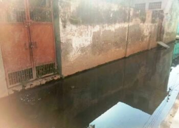 गली में सीवर के पानी से बढ़ी दुश्वारियां