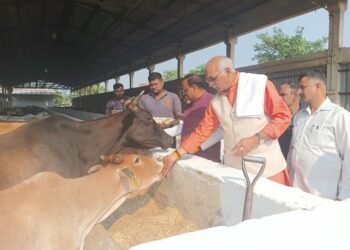 होलिका दहन हेतु गाय के गोबर से निर्मित कण्डों का उपयोग किया जाय : धर्मपाल सिंह