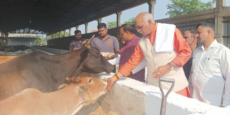 होलिका दहन हेतु गाय के गोबर से निर्मित कण्डों का उपयोग किया जाय : धर्मपाल सिंह