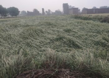 बिगड़े मौसम के सख्त तेवर ने अन्नदाताओं को कहीं का नहीं रखा, अफसोस