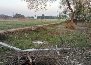 मूसलाधार बारिश से बिजली के खंभे धराशायी, घंटों बिजली रही गुल