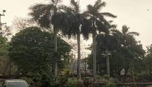 लखनऊ समेत यूपी के कई जिलों में बारिश, आंधी का अलर्ट जारी, गिर सकती है बिजली और ओले