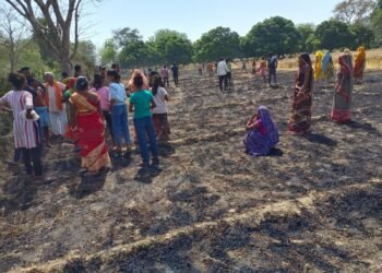 बंथरा में विद्युत तारों की चिंगारी से 10 किसानों की करीब 7 बीघा गेहूं की खड़ी फसल जलकर हुई राख