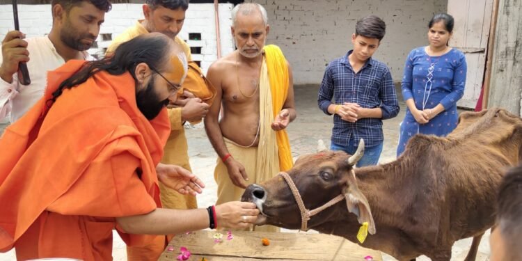 गौ माता को मिले राज्य माता का दर्जा: दीनबंधु दास महाराज