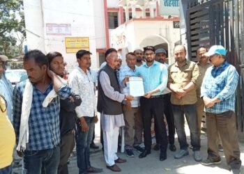 बारिश व ओलावृष्टि ने मलिहाबाद फल पट्टी के आम की फसल को किया चौपट