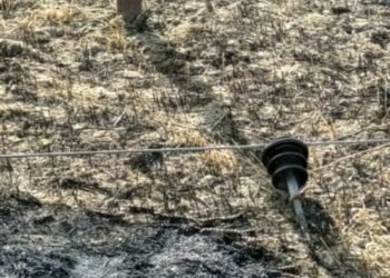 मोहनलालगंज के भौदरी गनियार गांव में हाईटेंशन तार के टूटने से खेतों में लगी आग