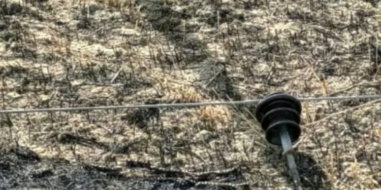 मोहनलालगंज के भौदरी गनियार गांव में हाईटेंशन तार के टूटने से खेतों में लगी आग