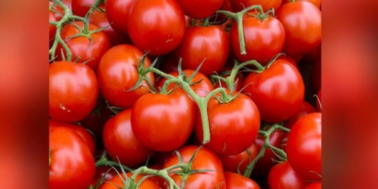 टमाटर का अधिक सेवन करने से हो सकती हैं ये समस्याएं, तो हो जायें सावधान