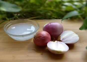 घर पर कैसे बनाएं प्याज से हेयर सीरम? जो बालों में डाल दे जान