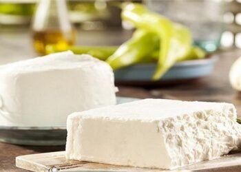 कच्चा पनीर खाने के है कई फायदे वेट लॉस से लेकर स्ट्रेस दूर करने में है सहायक