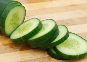 क्या खीरा खाने के बाद पानी पीना होता है नुकसान दायक,जाने किन बातों का रखें ध्यान