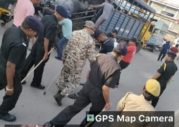 नगर निगम ने हटाई अवैध डेरी