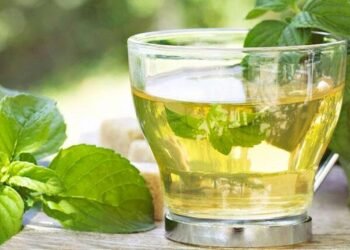 गर्मियों में बढ़ता वजन घटाना चाहते हैं, तो अपनी डाइट में ज़रूर शामिल करें ये ड्रिंक्स