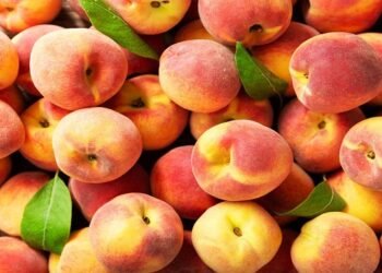 इस समर सीजन आप भी चाहते है स्किन के लिए कुछ खास तो ट्राई करे पीच फेस पैक