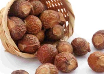 चाहते है सिल्की सॉफ्ट बाल तो लगाए रीठा, मिलेंगे 5 फायदे