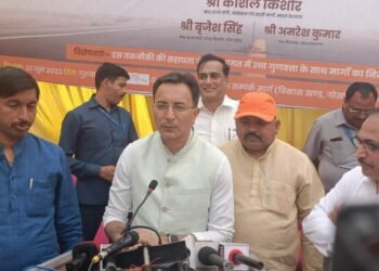 लखनऊ में नई तकनीकी का इस्तेमाल कर सेस ग्रिड सीसी रोड बेली कला गांव में बनाने का किया जा रहा है प्रयोग