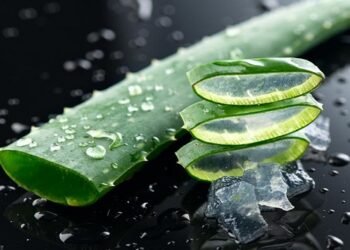 Aloe Vera For Teeth: टूथपेस्ट की जगह एलोवेरा से करेंगे ब्रश तो पायेंगे स्वस्थ और मजबूत दांत
