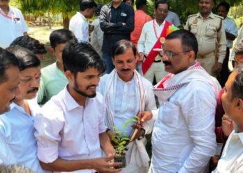 प्रत्येक वार्ड में 100 पौधे लगाने का लक्ष्य बनाया जाए : अशोक तिवारी