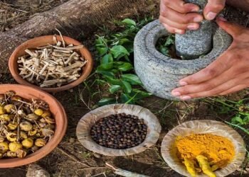 गर्मियों में पेट और मस्तिष्क को रखना है ठंडा, तो अपनी रेगुलर डाइट में शामिल करें ये 5 आयुर्वेदिक हर्ब्स