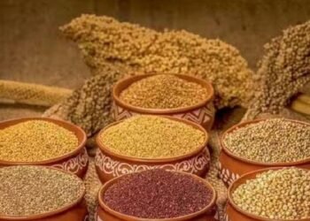 शरीर में हीट प्रॉब्लम से बचने के लिए गर्मियों में बिल्कुल Avoid करें ये 3 तरह का अनाज