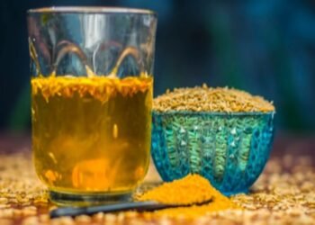 सिर्फ बीज ही नही बल्कि इनका पानी पीने से भी मिलते है कई पोषक तत्व