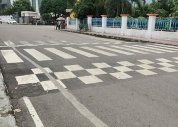 लखनऊ में कूड़ा-कचरा एवं गन्दे स्थलों तथा जलभराव वाले स्थानों को साफ कर वहां पर थीम आधारित किया जायेगा वृक्षारोपण