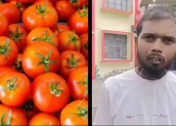 Tomato Prices