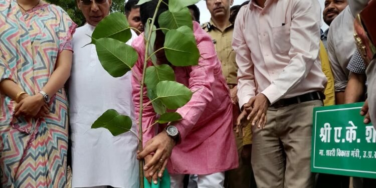 आगरा के प्रभारी मंत्री ए.के.शर्मा ने पीपल का पौधा रोपकर वृक्षारोपण जन आंदोलन की शुरूआत की