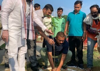 लखनऊ नगर निगम ने किया ‘पेड़ लगाओ-पेड़ बचाओ’ थीम पर वृक्षारोपण महाअभियान-2023 की शुरूआत