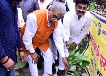 लखनऊ व्यापारी असोसिएशन ने वन मंत्री के साथ रोपे पौधे