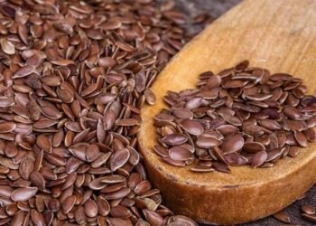 अलसी का सेवन स्वास्थ्य के लिए फायदेमंद होता है तो इसके कुछ नुकसान भी हैं, आप भी जानें