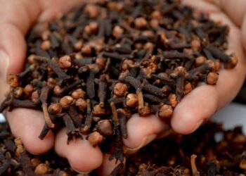 लौंग का पानी पीने से कई बीमारियों का निदान होता है, जानें इसे बनाने का तरीका