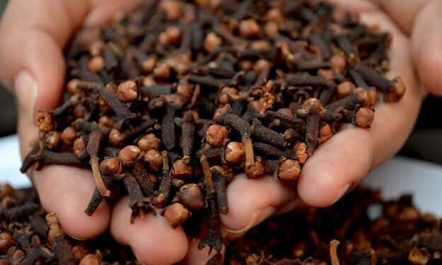 लौंग का पानी पीने से कई बीमारियों का निदान होता है, जानें इसे बनाने का तरीका