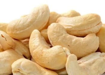 काजू स्वाद और सेहत का भण्डार माना जाता है, आप भी जानें इसके फायदे 