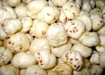 मखाना कई पोषक तत्वों से भरपूर होता है, आप भी जानें इसके फायदे और नुकसान