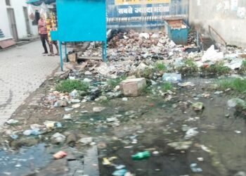 lucknow:सरोजनीनगर द्वितीय वार्ड के नादरगंज चौराहे के पास अवैध दुकानें संचालित करने का आरोप लगाकर पार्षद ने महापौर व नगर आयुक्त को भेजा पत्र