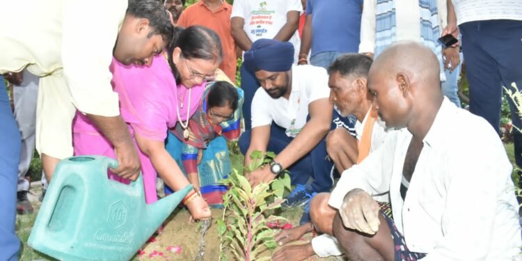 lucknow: गौ पूजन कर महापौर ने मनाई श्रीकृष्ण जन्माष्टमी, रोपित किया बेलपत्र का पौधा