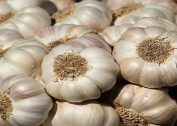जानें कच्चा लहसुन के 6 औषधिये गुण