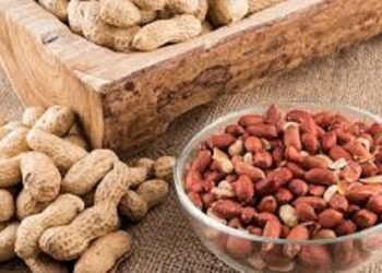 सर्दियों में भुनी मूंगफली खाने के 4 फायदे, आप भी  जानें