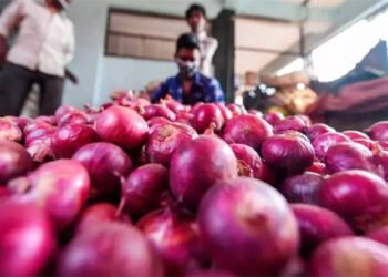 Onion Price Hike