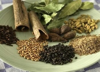 गरम मसाले के सेहत से जुड़े 4 अचूक फायदे !